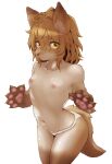  1girl animal_ears animal_hands blonde_hair blush breasts closed_mouth collarbone fox_ears fox_girl fox_tail furry furry_female hawthorn highres looking_at_viewer navel nipples original panties pawpads short_hair simple_background small_breasts solo tail underwear whiskers white_background white_panties yellow_eyes 