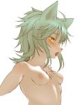  1girl ahoge animal_ears blush breasts cat_ears cat_girl cat_tail collarbone furry furry_female green_hair hawthorn nipples no_bra open_mouth original shiny shiny_hair short_hair simple_background small_breasts tail upper_body whiskers white_background yellow_eyes 