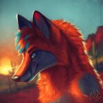  1:1 2019 anthro backlighting blue_body blue_eyes blue_fur blue_hair blue_sky blurred_background bust_portrait cactus canid closed_smile dated fur glistening glistening_eyes hair hi_res light lighting looking_at_viewer male mammal mouth_closed mylafox outside plant portrait red_body red_fur red_hair signature sky solo 