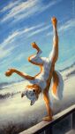  2019 anthro black_nose blue_sky canid cheek_tuft cloud dated eyes_closed facial_tuft featureless_crotch front_view full-length_portrait fur glistening glistening_nose hi_res male mammal mylafox neck_tuft nude orange_body orange_fur outside portrait signature sky snow solo tuft upside_down white_body white_fur 