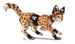 2022 blue_eyes collar digital_media_(artwork) felid feline female feral flashw fur mammal paws serval smile solo spots spotted_body spotted_fur 
