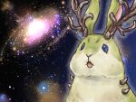  antlers artist_request danger!?_jackalope? duel_monster green_fur highres horns jackalope looking_away meme open_mouth rabbit space space_cat_(meme) tagme yu-gi-oh! 