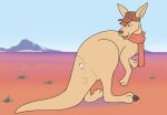  blueballs blush clothing detailed_background eyes feral hat headgear headwear kangaroo macropod male mammal marsupial merging sad scarf smug tail_transformation transformation 