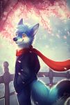  2017 anthro black_clothing black_nose black_topwear blue_body blue_bottomwear blue_clothing blue_fur blue_hair blue_pants bottomwear canid cheek_tuft cherry_blossom cherry_blossom_tree cherry_tree closed_smile clothed clothing dark_topwear dated facial_tuft fruit_tree fur hair male mammal mylafox neck_tuft orange_eyes orange_pupils outside pants plant portrait pupils red_scarf scarf signature solo standing three-quarter_portrait three-quarter_view topwear tree tuft white_body white_fur 