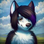  1:1 anthro black_body black_fur black_hair black_nose blue_sky brown_eyes bust_portrait canid chest_tuft closed_smile cloud front_view fur glistening glistening_eyes hair looking_at_viewer male mammal meadow mouth_closed multicolored_hair mylafox nude outside portrait purple_hair sky solo text tuft two_tone_hair url white_body white_fur 