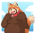  2022 ailurid anthro belly big_belly blush brown_body collar eyes_closed kemono kota&acute; male mammal moobs overweight overweight_male petplay red_panda roleplay solo tongue tongue_out 