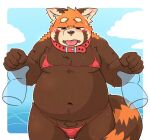  2022 ailurid anthro balls belly big_belly bikini blush brown_body clothed clothing crossdressing duo genitals humanoid_hands kemono kota&acute; male mammal moobs navel overweight overweight_male red_panda solo_focus swimwear tongue tongue_out 