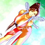  bad_id bad_pixiv_id breasts brown_eyes brown_hair cleavage fatal_fury huge_breasts long_hair pelvic_curtain ponytail revealing_clothes shiranui_mai solo the_king_of_fighters wakino_keibun 