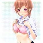  bad_id bad_pixiv_id blush bra breasts brown_hair irimo lingerie medium_breasts navel original pink_bra red_eyes shirt_lift short_hair sleeves_rolled_up smile solo underwear 