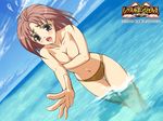  artist_request beach bikini blush breast_hold breasts brown_eyes brown_hair covering day embarrassed fujishima_hitomi long_hair ocean outdoors solo swimsuit tears topless water wrestle_angels wrestle_angels_survivor 
