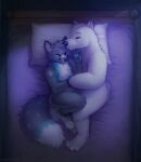  2018 anthro bed blue_body blue_fur butt_tuft canid closed_smile dated duo ear_piercing eyes_closed fluffy fluffy_tail fur furniture grey_body grey_fur grey_hair hair head_tuft hi_res industrial_piercing inside lying male mammal markings monotone_body monotone_fur mouth_closed multicolored_body multicolored_fur mylafox nude on_bed on_side piercing pillow polar_bear short_hair signature star_(marking) text tuft url ursid ursine white_body white_fur white_pillow 