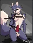  anthro balls bdsm bondage bound canid canine canis collar genitals leash male male/male mammal penis secretdwagon solo spikes wolf 