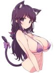  1girl :o animal_ears bikini breasts cat_ears cat_girl cat_tail covered_nipples highres kemonomimi_mode large_breasts long_hair looking_at_viewer machikado_mazoku mature_female mel_(melty_pot) navel nipples purple_bikini purple_eyes purple_hair solo swimsuit tail upper_body yoshida_seiko 