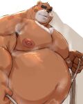  2022 absurd_res anthro belly big_belly big_moobs black_nose blush bodily_fluids halloween hi_res holidays jack-o&#039;-lantern kemono kotobuki male mammal moobs musk nipples obese obese_male overweight overweight_male solo sweat ursid 