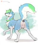  2022 anal anal_penetration animal_genitalia anus balls blue_body blue_fur blush butt buttplug buttplug_in_ass buttplug_insertion canid canine canis digital_media_(artwork) domestic_dog feral fully_sheathed fur genitals green_background green_body green_fur green_hair hair hi_res imgonnaloveyou looking_at_viewer looking_back looking_back_at_viewer male mammal multicolored_body multicolored_fur penetration perineum plug_(sex_toy) plug_insertion quadruped sex_toy sex_toy_in_ass sex_toy_insertion sheath simple_background solo white_background white_balls white_body white_fur white_sheath 