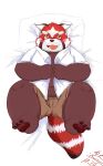  2022 ailurid anthro blush bottomwear clothing feet hi_res kemono lifewonders lying male mammal pillow red_body red_panda shirt shorts slightly_chubby solo tengzai05 tokyo_afterschool_summoners topwear video_games young zhurong_(tas) 