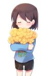  1girl bangs black_shorts blue_sweater brown_hair closed_eyes flower frisk_(undertale) highres holding holding_flower long_sleeves object_hug short_hair short_shorts shorts simple_background striped striped_sweater sweater undertale white_background xox_xxxxxx yellow_flower 