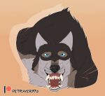  2022 anthro black_nose blue_eyes canid canine digital_media_(artwork) hi_res male mammal petplayer976 rakan scar were werecanid werecanine werewolf 