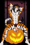  abs anthro armpit_hair body_hair clothing clothing_aside felid foreskin genitals hi_res iudi_(iudicium86) iudicium86 jack-o&#039;-lantern male mammal muscular nipple_piercing nipples pantherine penis piercing retracted_foreskin solo tiger underwear underwear_aside 