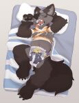  anthro bed bedding blanket canid canine canis claws clothing diaper eyes_closed furniture hi_res lying male mammal on_back open_mouth pawpads pillow seth-iova sleeping solo teeth tongue torn_clothing were werecanid werecanine werewolf wolf 