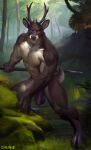  2022 anthro antlers balls brown_body brown_fur cervid chunie clothing detailed_background digital_media_(artwork) flaccid foreskin forest fur genitals grin hi_res holding_object holding_spear holding_weapon hooves horn humanoid_genitalia humanoid_penis looking_at_viewer male mammal melee_weapon muscular muscular_male nipples nude outside partially_retracted_foreskin penis plant polearm smile solo spear tree tribal weapon white_body white_fur 