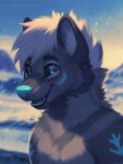  2022 3:4 anthro black_sclera blue_eyes blue_nose blue_sky blue_tongue blurred_background bust_portrait canid dated fangs fur glistening glistening_eyes grey_body grey_fur hair hi_res male mammal mountain mylafox nude open_mouth open_smile outside portrait short_hair signature sky smile solo text tongue url white_hair 