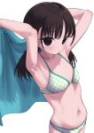 1girl absurdres armpits arms_up bangs bikini black_eyes black_hair blush bouen breasts checkered_bikini checkered_clothes commentary_request highres holding long_hair looking_at_viewer low_twintails navel original parted_lips simple_background small_breasts solo stomach swimsuit twintails white_background 