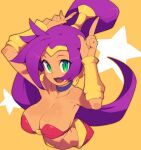  1girl blue_eyes bracer breasts choker cleavage dark-skinned_female dark_skin earrings harem_pants hoop_earrings jewelry long_hair looking_at_viewer medium_breasts metata navel open_mouth pants pointy_ears ponytail purple_hair shantae shantae:_half-genie_hero shantae_(series) smile solo tiara very_long_hair 