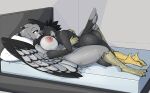  accipitrid accipitriform aftercare anthro avian bed bedroom bedroom_eyes big_breasts bird black_body black_feathers breasts bubble_butt butt duo eagle feathers female furniture girokett grey_body grey_feathers harpy_eagle hi_res larger_female male male/female narrowed_eyes ozzy_(breakstep) pillow seductive size_difference sleeping smaller_male smile wings 