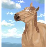  ambiguous_gender cloud digital_media_(artwork) equid equine facial_markings feral hair head_markings hi_res horse looking_at_viewer mammal markings midrate pearl_(wasen) solo tan_body tan_hair 