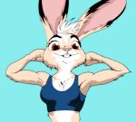  anthro bra breasts brown_eyes cleavage clothed clothing disney female grummancat hi_res jackie_hopps_(grummancat) lagomorph leporid mammal rabbit solo underwear zootopia 