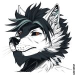  1:1 anthro artist_name black_body black_fur black_hair black_sclera canid fur hair headshot_portrait inner_ear_fluff looking_at_viewer male mammal mouth_closed multicolored_body multicolored_fur multicolored_hair orange_eyes portrait simple_background slash_freezen solo tuft two_tone_body two_tone_fur two_tone_hair whiskers white_background white_body white_fur white_inner_ear_fluff 