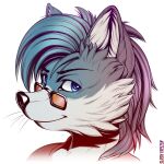 1:1 anthro artist_name blue_eyes blue_hair bust_portrait cheek_tuft closed_smile clothed clothing facial_tuft female fur gradient_hair grey_body grey_fur hair inner_ear_fluff looking_at_viewer mouth_closed multicolored_hair pink_hair portrait red_clothing red_topwear simple_background slash_freezen solo species_request square_glasses three-quarter_view topwear tuft two_tone_hair white_background white_body white_fur white_inner_ear_fluff 
