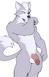  abs anthro balls black_nose canid canine canis chin_tuft eye_patch eyewear facial_tuft fur genitals grey_body grey_fur hi_res jrjresq male mammal muscular muscular_anthro muscular_male navel nintendo nude pecs penis pink_penis pose red_eyes simple_background solo star_fox video_games white_background white_body white_fur wolf wolf_o&#039;donnell 
