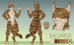  2021 anthro artist_name cheek_tuft chest_tuft color_swatch crotch_tuft dated ear_tuft facial_tuft featureless_crotch felid front_view fur green_eyes hi_res kadarus looking_at_viewer male mammal markings model_sheet mouth_closed nude pawpads pink_nose pink_pawpads rear_view reflection simple_background slash_freezen solo standing striped_arms striped_body striped_fur striped_legs striped_markings striped_tail stripes tail_markings tuft 