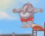 2022 absurd_res anthro belly big_belly clothing elephant elephantid grey_body hi_res humanoid_hands male mammal moobs overweight overweight_male proboscidean smollsaid solo swimwear 