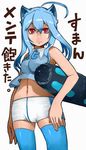  ahoge animal_ears blue_hair midriff navel personification recube red_eyes short_hair shorts solo thighhighs twitter 