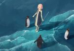  bare_shoulders barefoot bird dress emperor_penguin frozen glacier ice ocean original others_(gogo-o) penguin pink_hair short_hair 