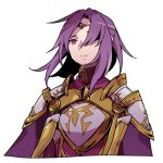  1boy armor breastplate circlet closed_mouth commentary_request fire_emblem fire_emblem:_the_sacred_stones haconeri hair_over_one_eye lyon_(fire_emblem) one_eye_covered pauldrons purple_eyes shaded_face shoulder_armor simple_background solo upper_body white_background 