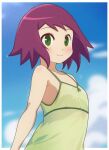  1girl bare_shoulders blue_sky blurry blurry_background closed_mouth cloud green_eyes green_shirt kurakuru looking_at_viewer mega_man_(series) mega_man_star_force pink_hair shirt short_hair sky sleeveless sleeveless_shirt smile solo sonia_strumm_(mega_man) upper_body wet 