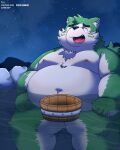 2024 absurd_res anthro bathing belly big_belly canid canine canis convenient_censorship debudave_12 detailed_background domestic_dog green_body hi_res kemono lifewonders live_a_hero male mammal mokdai moobs navel night nipples outside overweight overweight_male sitting solo star water