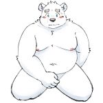 1:1 2024 anthro bear belly big_belly blush bodily_fluids hi_res humanoid_hands kemono male mammal moobs navel nipples overweight overweight_male polar_bear shirane_kan simple_background solo sweat ursine utau white_background white_body yaki_atsuage