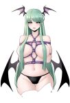  1girl bdsm black_panties bondage bound breasts collarbone green_eyes green_hair head_wings highres long_hair looking_at_viewer morrigan_aensland no_bra panties purple_rope rope shibari shinibun sidelocks simple_background solo underwear vampire_(game) very_long_hair white_background wings 