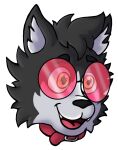 anthro black_body black_fur canid canine canis collar domestic_dog eyebrows eyewear fur glasses happy head_tuft hi_res husky male mammal multicolored_body multicolored_fur nordic_sled_dog open_mouth pudim_(pudim_condenado) red_collar red_eyewear red_glasses rjquaty shapeshift simple_background smile solo spitz teeth tongue tuft white_background white_body white_fur yellow_eyes