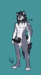  anthro athletic balls canid canine canis domestic_dog genitals hi_res hunterramirez male male/male mammal nude penis smile solo standing wolf 
