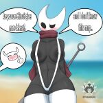 absurd_res anthro arthropod beach breasts clothing dialogue embarrassed female hi_res hollow_knight hornet_(hollow_knight) kyubimaru non-mammal_breasts one-piece_swimsuit sling_bikini solo swimwear team_cherry the_knight_(hollow_knight)