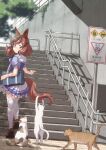  1girl animal_ears bag brown_footwear brown_hair calico cat closed_mouth day ear_covers frilled_skirt frills highres horse_ears horse_girl horse_tail looking_back medium_hair miniskirt nice_nature_(umamusume) on_stairs outdoors playing_with_another&#039;s_tail pleated_skirt puffy_short_sleeves puffy_sleeves purple_shirt railing sailor_collar satomura_kyou school_bag school_uniform shirt shoes short_sleeves sign skirt solo stairs standing tabby_cat tail thighhighs tracen_school_uniform twintails umamusume walking white_cat white_sailor_collar white_skirt white_thighhighs 