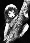  1girl black_background climbing_tree commentary_request fang full_body greyscale highres light_blush long_hair long_sleeves looking_at_viewer loose_socks lower_teeth_only mclntyre01 monochrome open_mouth original raised_eyebrow socks solo teeth tree 