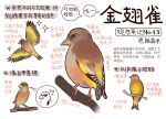  animal animal_focus bird black_eyes chinese_commentary chinese_text closed_mouth commentary finch flying full_body garlica highres information_sheet multiple_views no_humans original simple_background sparkle speech_bubble sunglasses translation_request walkie-talkie white_background 