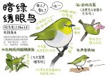  animal animal_focus bird chinese_commentary chinese_text closed_mouth commentary flower full_body garlica highres multiple_views no_humans open_mouth original pink_flower simple_background speech_bubble translation_request white_background 